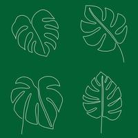 Simplicity monstera leaf freehand continuous line drawing flat design. vector