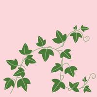 Simplicity ivy freehand drawing flat design. vector