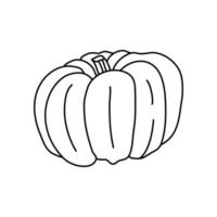 Pumpkin or squash in doodle style. Isolated outline. Hand drawn vector illustration in black ink on white background. Great for coloring books. Farming garden theme.