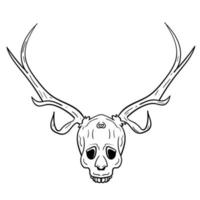 cráneo dibujado a mano con astas de ciervo vector