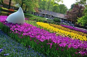 tulipanes morados, amarillos, blancos y azules con una gran gota blanca en el parque keukenhof en holanda foto