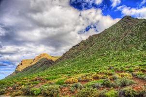 North-west coast of Tenerife near Punto Teno Lighthouse, Canarian Islands photo