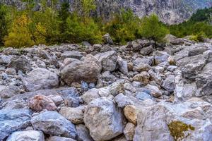 Piedras de canto rodado en koenigssee, konigsee, parque nacional de berchtesgaden, baviera, alemania foto