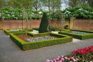 Garden with small bushes, white, orange and red tulips and brick walls in Keukenhof park in Holland photo