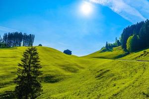 Green fields with blue sky, Schoenengrund, Hinterland, Appenzell