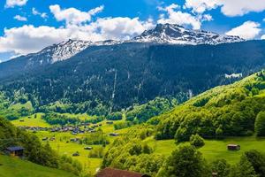 Forest in Alps mountains, Klosters-Serneus, Davos,  Graubuenden,