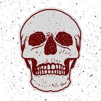 skull illustration with hand drawing style vector