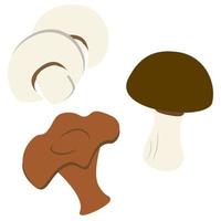 Set of three hand drawn mushrooms in cartoon style. Champignon, chanterelles, white mushroom. vector