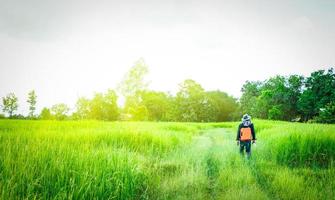 Asian smart engineer or surveyor in black jeans and long sleeve shirt and hat  carries a box of orange working equipment and walking in the green rice field in the morning with sunshine in Thailand photo
