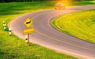 Black SUV car of the tourist driving with caution during travel at curve asphalt road near yellow traffic sign with deer jumping inside the sign and have message caution wildlife crossing photo