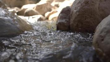 gros plan sur une rivière qui coule à travers les rochers video