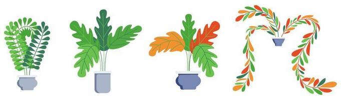 conjunto de plantas de casa y oficina con diferentes lindos y hermosos conjuntos de plantas y árboles aislados vector