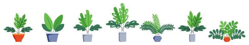 Hosue and office plants set with different plant tree set isolated vector