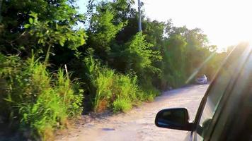 Driving thru the jungle and tropical nature Chemuyil in Mexico.