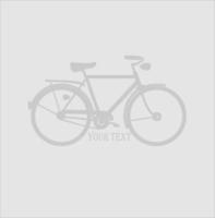vintage gray bicycle logo white background vector