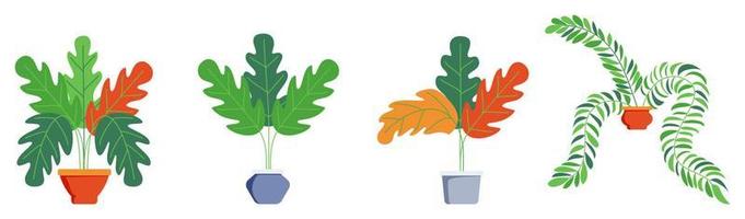 plantas de casa y oficina con diferentes lindos y hermosos árboles y plantas aislados en fondo blanco vector