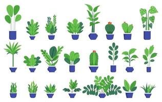 Casa y plantas de oficina conjunto grande con diferentes lindas plantas y árboles hermosos conjunto aislado sobre fondo blanco. vector