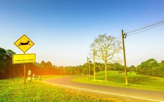 señal de tráfico amarilla con ciervos saltando dentro de la señal y tiene un mensaje de precaución al cruzar la vida silvestre en la curva de la carretera asfaltada. árboles, poste eléctrico en el bosque con cielo azul claro en verano foto