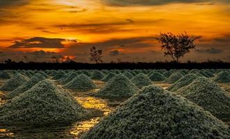 Salt farm in the morning with sunrise sky. Organic sea salt. Evaporation and crystallization of sea water. Raw material of salt industrial. Sodium Chloride. Solar evaporation system. Iodine salt. photo