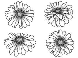 Hand drawn flower sketch line art illustration vector