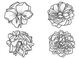 Hand drawn flower sketch line art illustration. Rose line art vector
