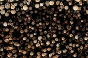 Pile of bamboo pole. Stack of round timber logs. Large batch of wooden logs for industrial scale or manufacturing. Warehouse of material for furniture factory. Art of bamboo abstract background. photo