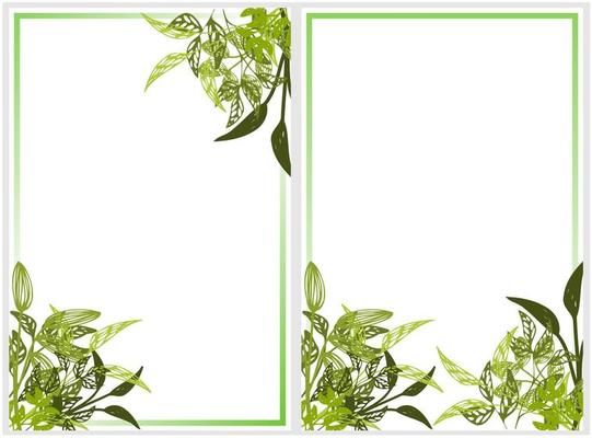 geometric floral frame green leaves, herbal frame