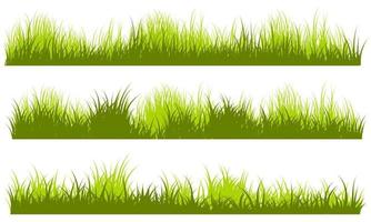 meadow grass, grass landscape vector