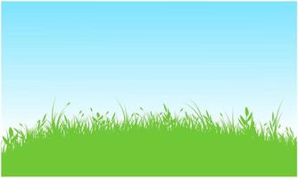 grassy hill, grassy field vector