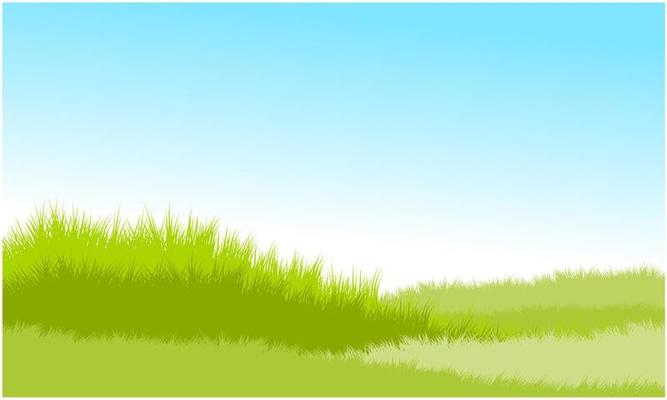 grassy hill, grassy field with blue sky background