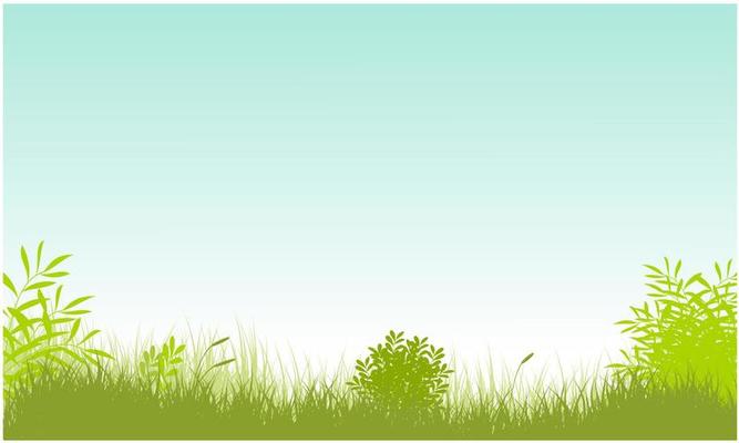 grassy field with sky background