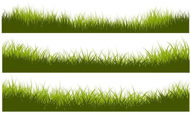 grass border, grassy edge vector pro