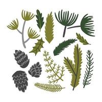 set with winter plants in flat style. spruce twigs, cones, leaves for decoration. vector illustration isolated on white background.