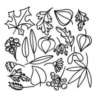 doodle set of leaves, berries and flowers drawn by hands. illustration drawn by black lines. vector on white background.