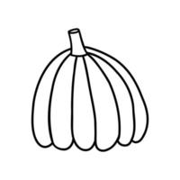 doodle cute pumpkin hand drawn. illustration drawn by black lines. vector on white background.