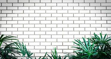 White empty frame of white brick wall decorate with green leaves at the bottom of frame. Exterior or interior vintage house white brick wall with green leaves fence. Empty frame with white background photo