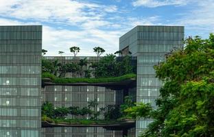 Eco friendly glass building with vertical garden in modern city. Green plant and tree forest and ivy on facade on sustainable building. Energy saving architecture with vertical garden.  Modern design. photo