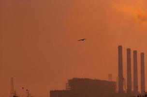 Power plant with orange sunset sky and birds flying on the sky. Air pollution concept. Energy for support factory in industrial estate. Power and energy. Dust spread in the air in the evening. photo