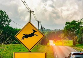 Precaución Señal de cruce de vida silvestre al lado de la carretera asfaltada cerca de una pequeña colina y un campo de hierba verde. coche del turista conduciendo con precaución durante el viaje foto