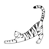 tigre de garabato dibujado con una línea negra. el tigre se estira del sueño. ilustración vectorial aislado sobre fondo blanco. vector