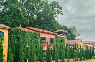 Europe style building covered with green ivy. Green creeping plant climbing on wall and window of tuscany house. Eco-friendly building decor with ivy. Sustainable building. Tourist attraction. photo