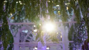 välj fokus grön flora dekoration med led-belysning video