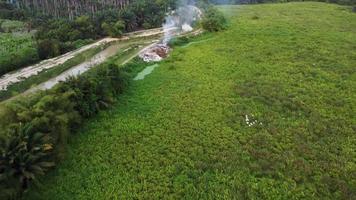 gli uccelli garzetta volano vicino alla discarica video