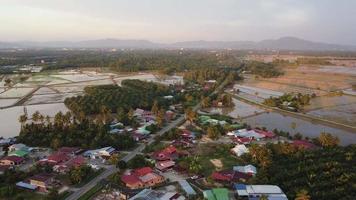 vista aerea villaggio malese vicino alla risaia video
