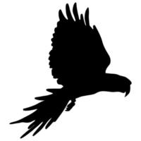 Black silhouette of a parrot on a white background. Vector image.