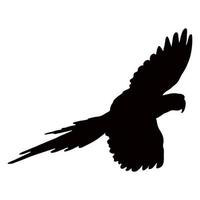 Black silhouette of a parrot on a white background. Vector image.