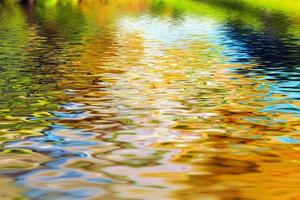 Reflection of trees in clean water waves photo