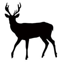 Black silhouette of a deer on a white background. Vector image.