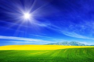 Spring field of green grass and yellow flowers, rape. Blue sunny sky photo