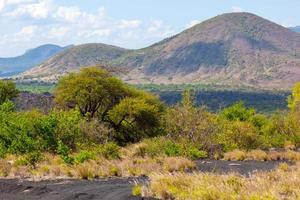 paisaje de arbustos y sabanas en áfrica tsavo oeste, kenia, áfrica foto